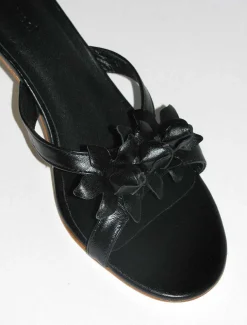 Paloma Wool No 1513/Dahlia Shop